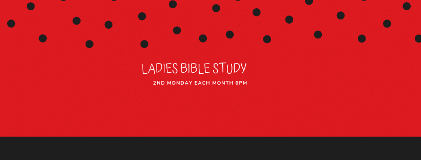 Read more about the article LADIES BIBLE STUDY