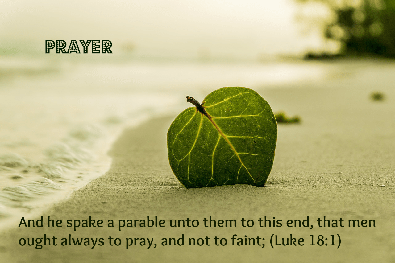 Read more about the article Steps to Receive Answers to Prayer